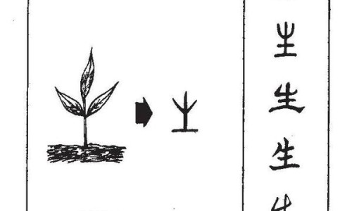 水培花生芽吃法视频大全-水培花生芽的吃法和做法专区_水培花生芽苗教程专区_水培花生芽的吃法网