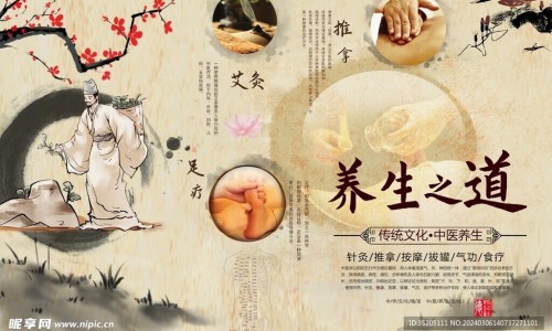 水培花生芽怎么做好吃-水培花生芽的吃法和做法专区_水培花生芽苗教程专区_水培花生芽的吃法网